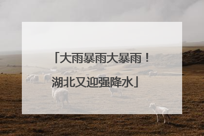 大雨暴雨大暴雨！湖北又迎强降水