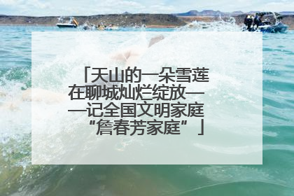 天山的一朵雪莲在聊城灿烂绽放——记全国文明家庭“詹春芳家庭”
