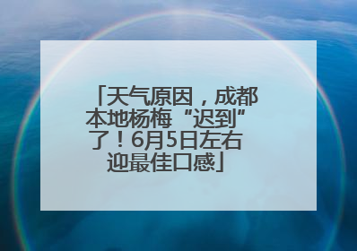 天气原因，成都本地杨梅“迟到”了！6月5日左右迎最佳口感