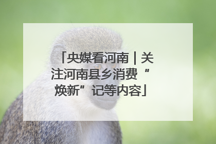 央媒看河南｜关注河南县乡消费“焕新”记等内容