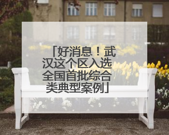好消息！武汉这个区入选全国首批综合类典型案例