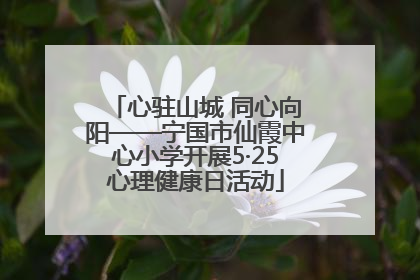 心驻山城 同心向阳——宁国市仙霞中心小学开展5·25心理健康日活动
