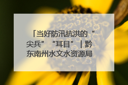 当好防汛抗洪的“尖兵”“耳目”｜黔东南州水文水资源局全员出动为此轮强降雨做好测报工作