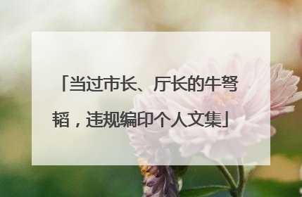 当过市长、厅长的牛弩韬，违规编印个人文集