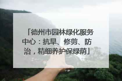德州市园林绿化服务中心：抗旱、修剪、防治，精细养护保绿荫