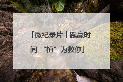 微纪录片丨跑赢时间 “植”为救你