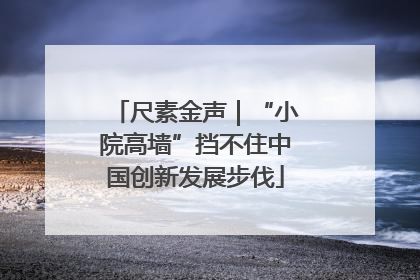 尺素金声｜“小院高墙”挡不住中国创新发展步伐