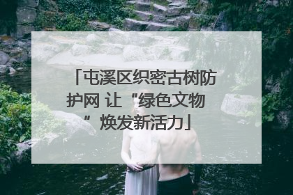 屯溪区织密古树防护网 让“绿色文物”焕发新活力