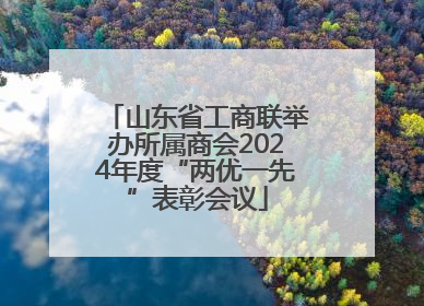 山东省工商联举办所属商会2024年度“两优一先”表彰会议
