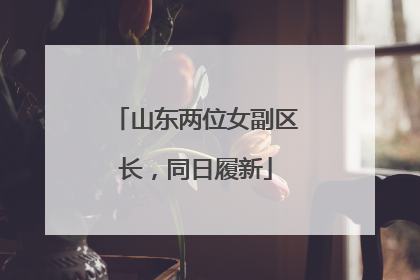 山东两位女副区长，同日履新