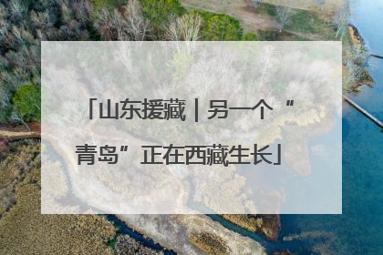 山东援藏｜另一个“青岛”正在西藏生长