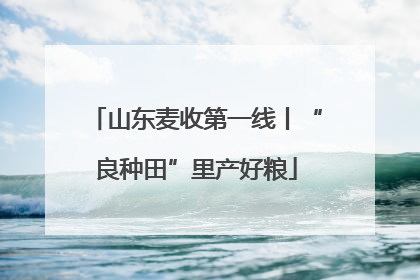 山东麦收第一线丨“良种田”里产好粮