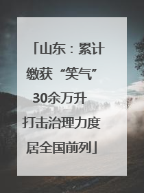 山东：累计缴获“笑气”30余万升 打击治理力度居全国前列