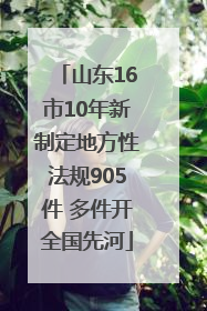 山东16市10年新制定地方性法规905件 多件开全国先河