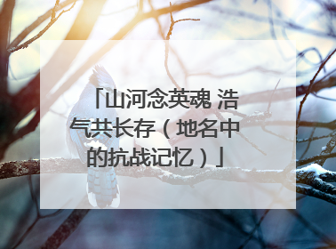 山河念英魂 浩气共长存（地名中的抗战记忆）