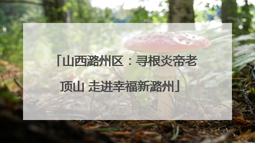 山西潞州区：寻根炎帝老顶山 走进幸福新潞州
