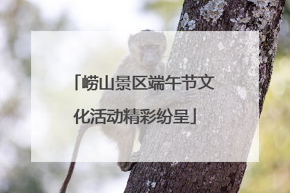崂山景区端午节文化活动精彩纷呈