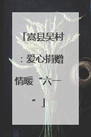 嵩县吴村：爱心捐赠情暖“六一”