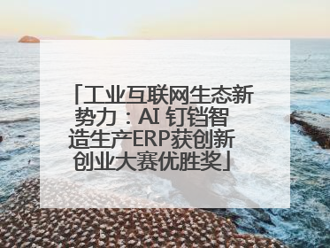 工业互联网生态新势力：AI 钉铛智造生产ERP获创新创业大赛优胜奖