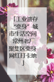 工业遗存“变身”城市生活空间 常州老厂聚集区变身网红打卡地