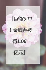 巨额罚单！金穗春被罚1.06亿元