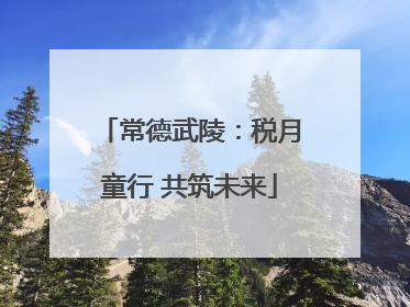 常德武陵：税月童行 共筑未来