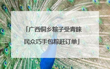 广西侗乡粽子受青睐 民众巧手包粽赶订单