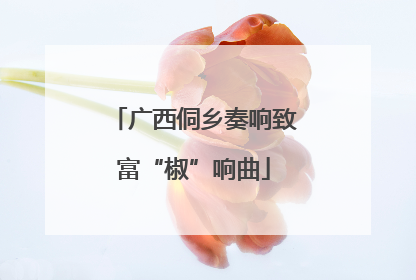广西侗乡奏响致富“椒”响曲