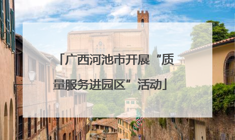 广西河池市开展“质量服务进园区”活动