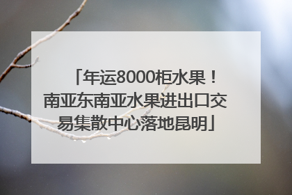 年运8000柜水果！南亚东南亚水果进出口交易集散中心落地昆明
