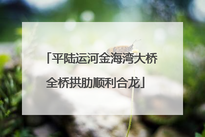 平陆运河金海湾大桥全桥拱肋顺利合龙