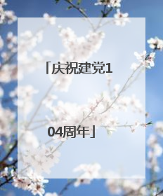 庆祝建党104周年