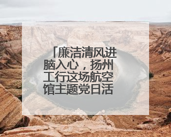 廉洁清风进脑入心，扬州工行这场航空馆主题党日活动扎实走心