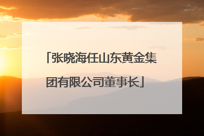 张晓海任山东黄金集团有限公司董事长