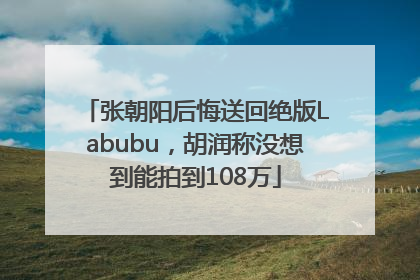 张朝阳后悔送回绝版Labubu,胡润称没想到能拍到108万
