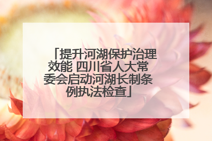 提升河湖保护治理效能 四川省人大常委会启动河湖长制条例执法检查