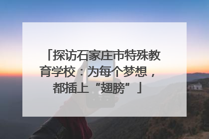 探访石家庄市特殊教育学校：为每个梦想，都插上“翅膀”