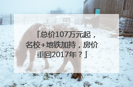 总价107万元起，名校+地铁加持，房价重回2017年？
