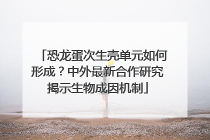 恐龙蛋次生壳单元如何形成？中外最新合作研究揭示生物成因机制