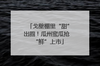 戈壁棚里“甜”出圈！瓜州蜜瓜抢“鲜”上市