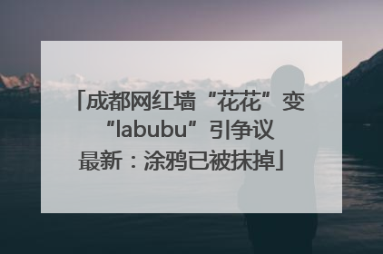 成都网红墙“花花”变“labubu”引争议 最新：涂鸦已被抹掉
