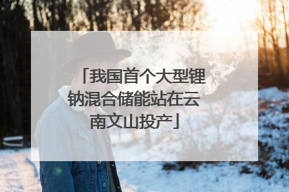 我国首个大型锂钠混合储能站在云南文山投产