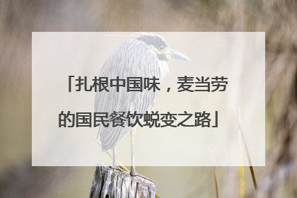 扎根中国味,麦当劳的国民餐饮蜕变之路