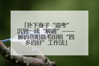 扑下身子“迎考” 沉到一线“解题”——解码岳阳县毛田镇“四多四好”工作法