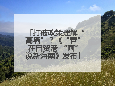 打破政策理解“高墙”？《“营”在自贸港 “画”说新海南》发布