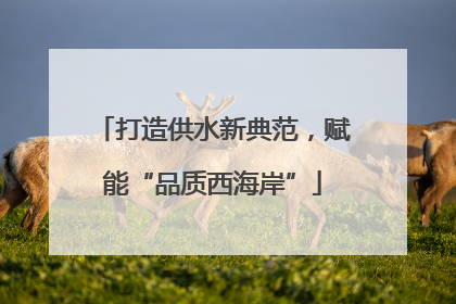打造供水新典范，赋能“品质西海岸”