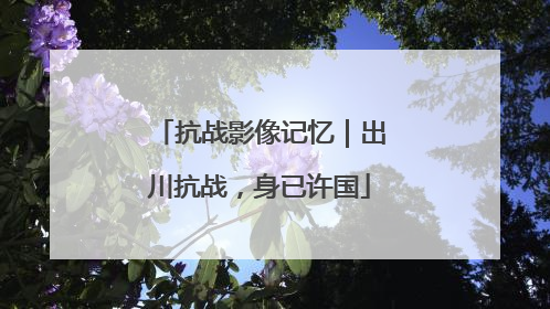 抗战影像记忆｜出川抗战，身已许国