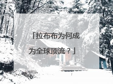 拉布布为何成为全球顶流？
