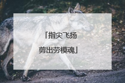 指尖飞扬 剪出劳模魂