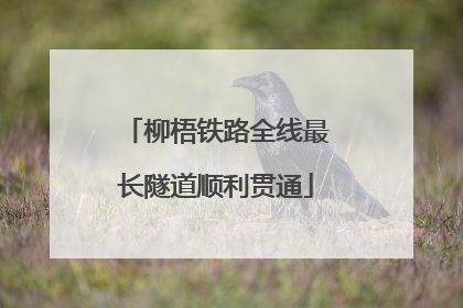 柳梧铁路全线最长隧道顺利贯通